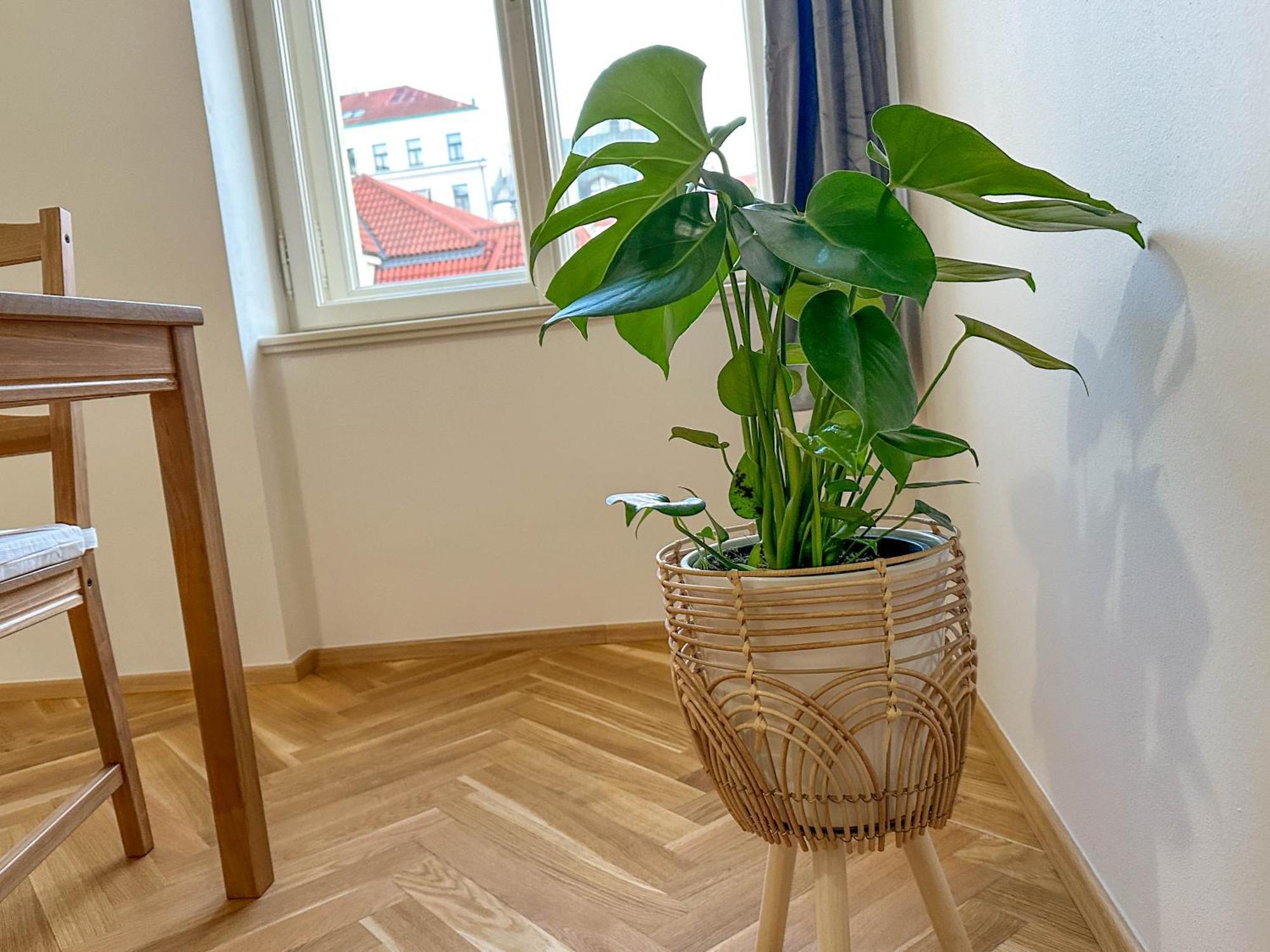 Appartamento Stylish Next To Wenceslas Square *